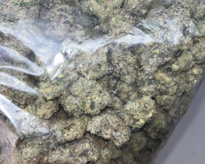 WARHEAD RUNTZ (EXOTICS) - Image 6
